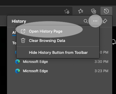edge-open-history-page
